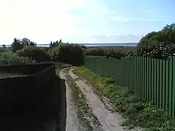 Вид на Псковское озеро со стороны д. Молгово Писковичской волости Псковского района Псковского района Псковской области