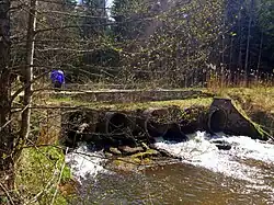 Мост дороги Янушковичи - Путилово в верховьях Илии весной 2015 года