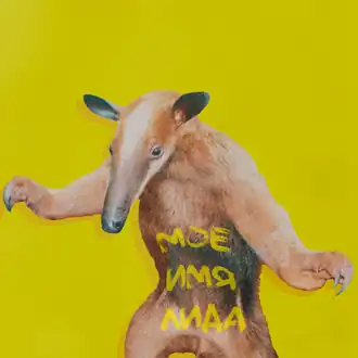 Обложка альбома Lida «Моё имя Лида» (2021)