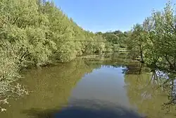 в с. Мягкоход