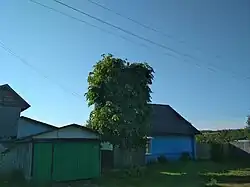 Аист весной