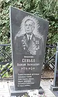 Надгробный памятник на могиле В. В. Сенько