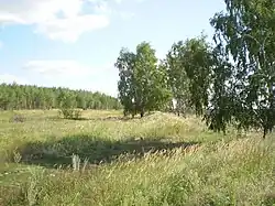 Сохранившаяся насыпь разобранной узкоколейной железной дороги. 2010 г.