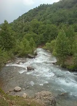 Наувалысай в июне, немного выше устья