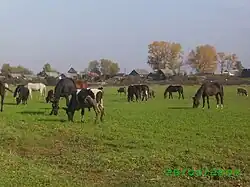 Вид на Выселки. 2007 год