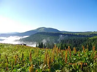 Чивчинские полонины