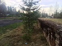 Неиспользуемая финская грузовая платформа