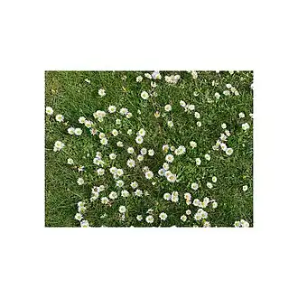 Обложка альбома Face «Ничего хорошего» (2023)