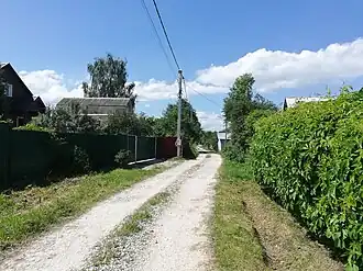 Улица деревни Новгородово