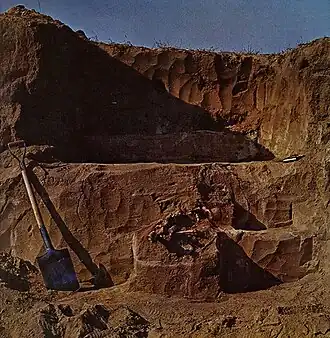 Раскопки погребения