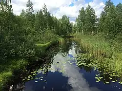 Вид по течению