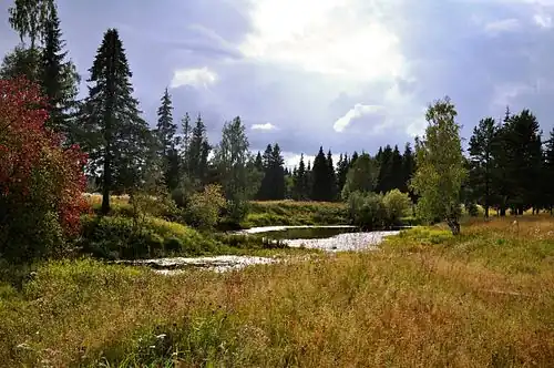 Няндское озеро