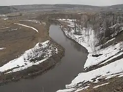 Лосиха в Косихе