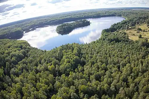 Озеро Двинец — памятник природы. Справа поляна, на которой стояли дома д.&nbsp;Корякино