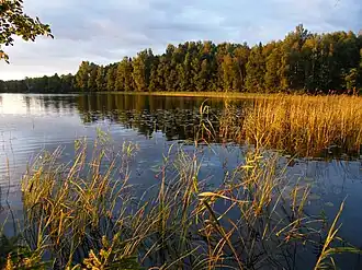Озеро Лошамьё на закате