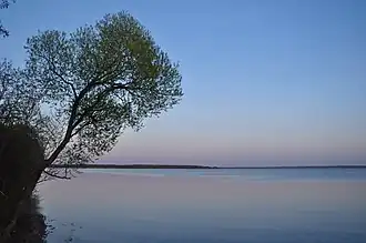 Вид на озеро вечером в мае 2015 года