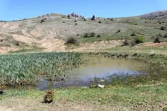 Сезонный пруд в верховьях урочища