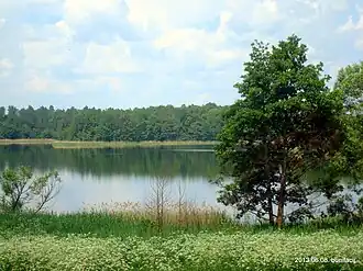 Вид на озеро с южного берега летом 2013 года