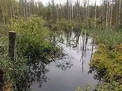 Вид против течения