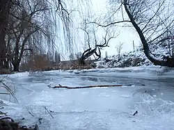 Ольховка зимой