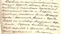 Описание кладбища 1881&nbsp;г.