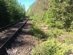 Разобранный боковой путь. Вид в сторону Райконкоски.