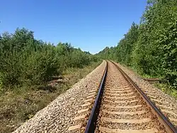 Вид в сторону ст. Салми.