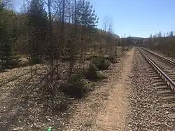 Разобранный боковой путь. Вид в сторону ст. Бородинское.