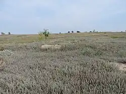 Всё, что осталось от домов бывшего села