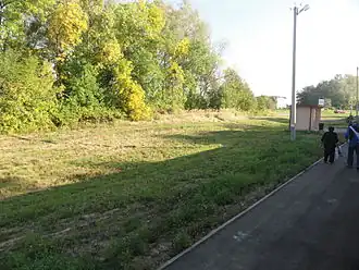 Остановочный пункт Тишовка на железнодорожной линии Могилёв — Осиповичи