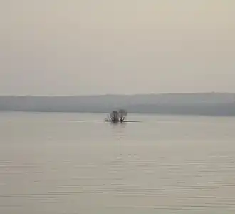 Остров Бакалда (вид с Новой дамбы)