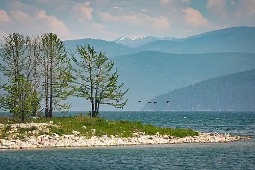 Голый остров