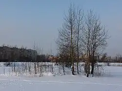 Остров в западном карьере зимой