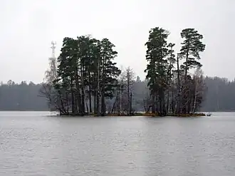 Остров на озере Таир в 2013 году