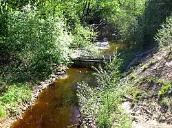 Река Святка в городе Отрадное