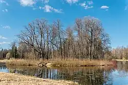 Южная оконечность острова. Фото 2023 г.