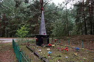 Памятник погибшим в Великой Отечественной войне 1941-1945 гг. в центре бывшего села