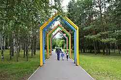 Цветная галерея (июнь 2019)