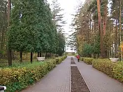 В парке санатория