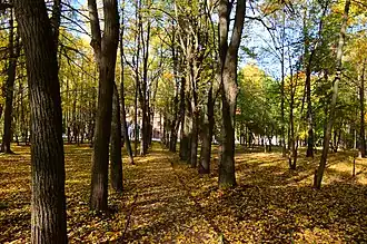 Усадебный парк, 2017 год