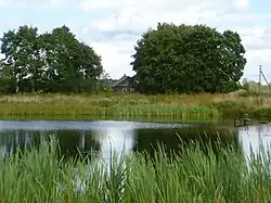 Первая прудка