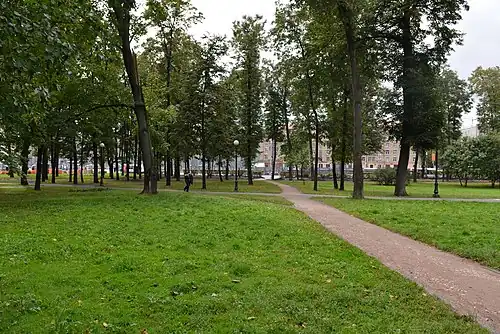 Петровский парк вблизи станции метро «Динамо» с уничтоженным подлеском и кустами