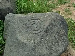 Спираль (улитка)