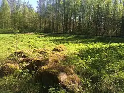 Урочище Тервасало.