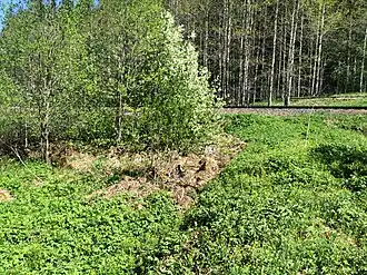 Развалины бывшего пассажирского здания