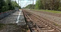 Вид в сторону ст. Оять-Волховстроевский.