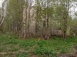 Административное здание пионерского лагеря.