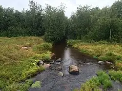 Вид по течению