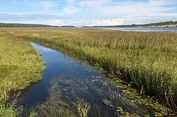 Вид в сторону Тудозера