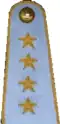 погоны 1973 мпс ссср